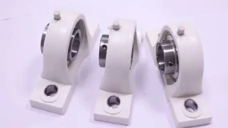 Stainless Steel Bearing Housing with Seat Sucp 200 Series
